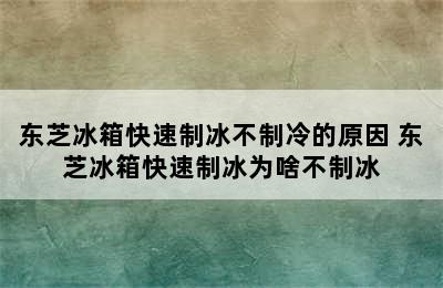 东芝冰箱快速制冰不制冷的原因 东芝冰箱快速制冰为啥不制冰